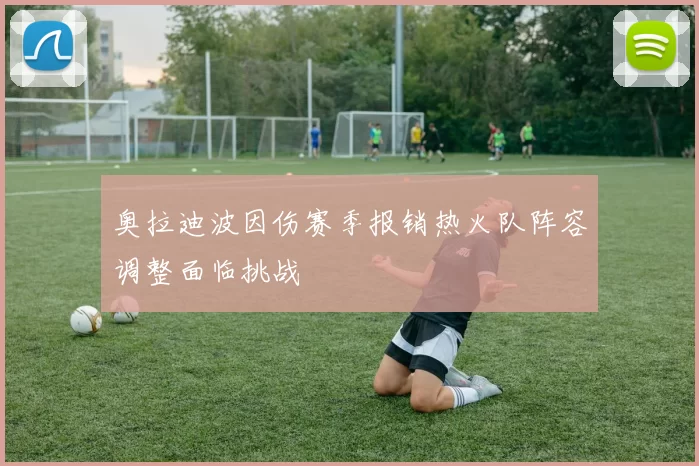 奥拉迪波因伤赛季报销热火队阵容调整面临挑战