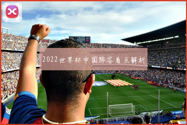 2022世界杯中国阵容看点解析