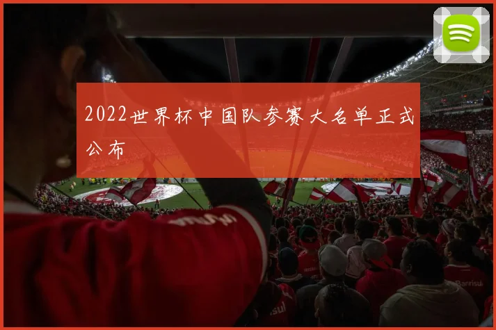 2022世界杯中国队参赛大名单正式公布